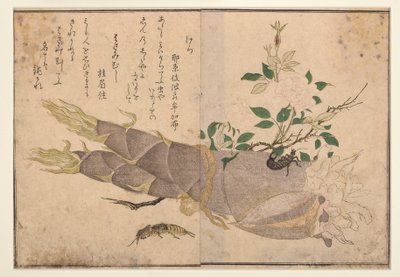 Ohrwurm und Maulwurfsgrille, 1788 von Kitagawa Utamaro